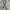 Digital camo belt  photo 1