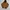 Ben Davis Active Jacket Corduroy Hamilton Brown photo 1