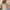 nude the label odette top girly photo 2