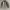 TOP10 broken white cotton oxsford oversize shirt photo 1