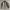 TOP10 Broken White Cotton Oxsford Oversize Shirt