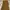 ZARA Luxury Going out dress Wanita brown photo 1