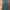 LEVIS SIGNATURE S61 JEANS photo 6
