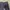 Dickies Streetwear Sportswear Casual pants Pria gray photo 2