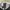 Dickies Streetwear Sportswear Casual pants Pria gray photo 5