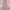 Minimalist Casual Midi Dress Wanita Red Pink