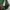Sportswear Windbreaker Pria green photo 4