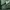 Sportswear Windbreaker Pria green photo 6