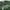 Sportswear Windbreaker Pria Green