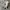 Converse 70s x Fear Of God High White photo 4