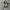 Converse 70s x Fear Of God High White photo 6