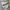 Converse 70s x Fear Of God High White photo 1