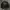 Coach Jacket photo 3