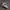 Sneakers Nike Air Max 2090 photo 3