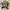 Carhartt essentials cord bag small  photo 1