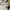 Carhartt essentials cord bag small  photo 5