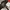 REDWING 47brand HAT CAPS  photo 6