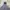 Global Work Anorak Smock Jacket