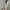 Vintage Y2K Vest Pria gray photo 4