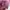 Camani Basic Hoodie - pink photo 4