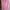 Camani Basic Hoodie - Pink