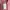 Camani Basic Hoodie - pink photo 3