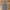BASIC STRAIGHT BLUE WASH JEANS  photo 4
