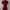 Wine Red Fitted Buttoned Short Sleeve