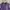 CAMP7 Y2K Sportswear Vest Pria purple photo 2