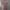 Pink Satin Lace Nightgown