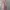 pink satin lace nightgown photo 1