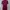 dark magenta satin lace nightgown photo 2