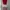 pout collared dress red lips photo 1