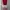 Pout Collared Dress Red Lips
