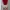 pout collared dress red lips photo 2