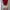 Pout Collared Dress Red Lips