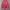 pink blink mini skirt photo 1