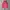 pink blink mini skirt photo 2