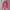 Pink Blink Mini Skirt