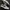 Converse One Star Ox Tyler the Creator Golf le Fleur photo 2