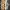Converse One Star Ox Tyler the Creator Golf le Fleur photo 3