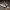 Converse One Star Ox Tyler the Creator Golf le Fleur photo 1
