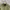 Vintage Y2K Parka Pria green photo 2