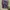 Vintage Y2K Parka Pria green photo 4