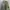 Vintage Y2K Parka Pria green photo 3