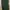 Dark Green Cargo Pants photo 3