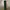 Dark Green Cargo Pants