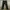 Dark Green Cargo Pants photo 1