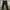 Dark Green Cargo Pants