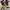 KEMEJA OPEN COLLAR X-CLAM JAPANESE ANIME FULL PRINT photo 2